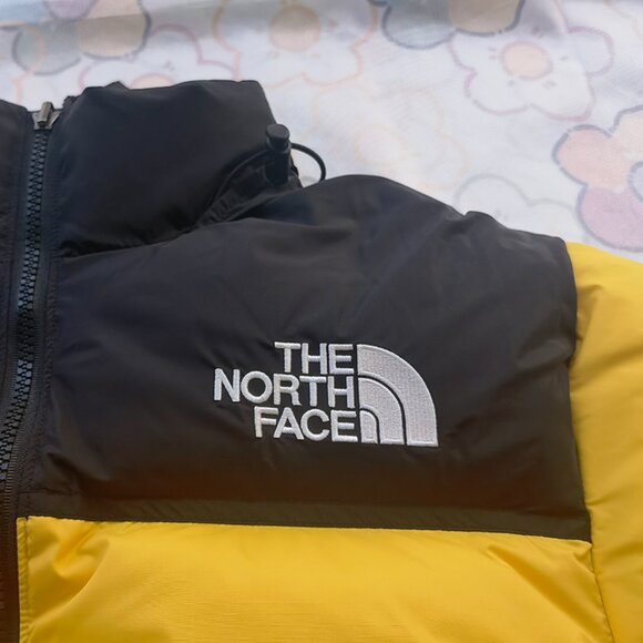 The North Face 1996 Retro Nuptse Down Jacket - Picture 7 of 12